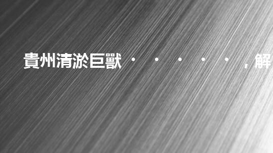 貴州清淤巨獸，解放河道疑團(tuán)！